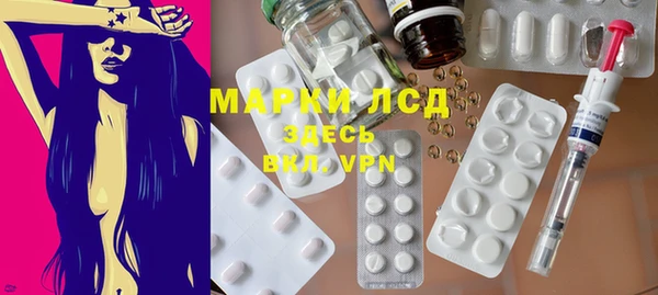 СК Медвежьегорск