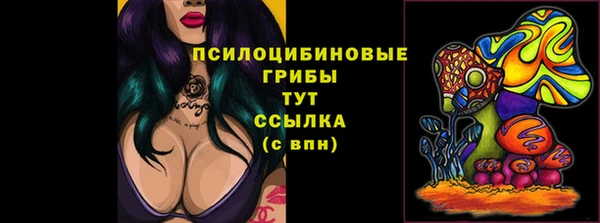 герыч Мегион