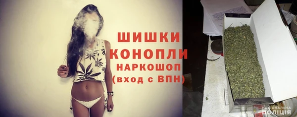 PSILOCYBIN Медногорск